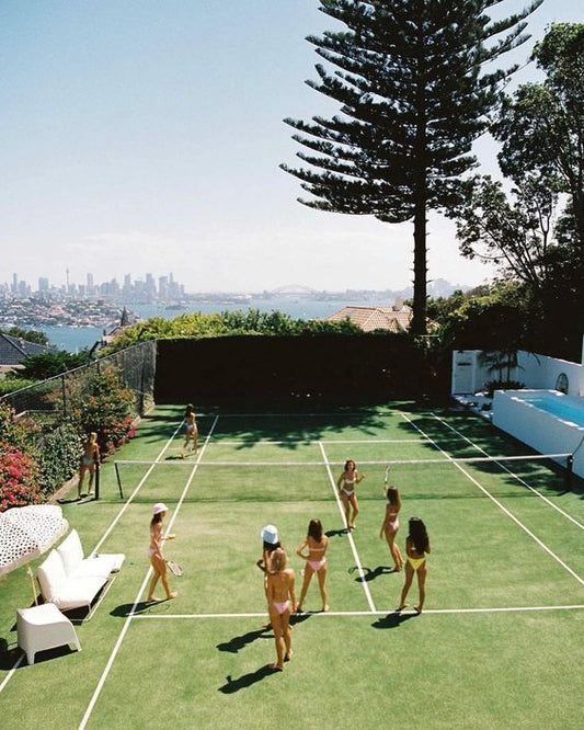 Unveiling the Pickleball Playground
